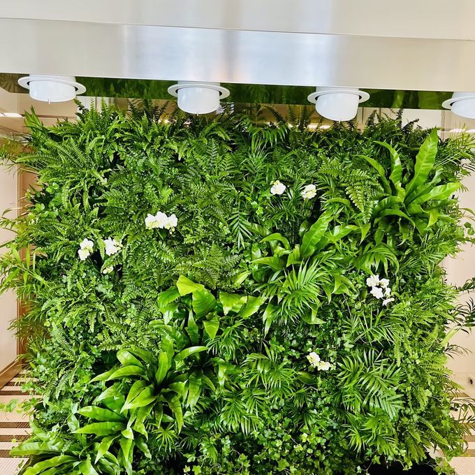 Living green wall for a refit