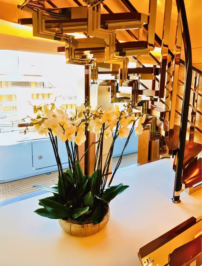 Phalaenopsis orchid in a superyacht interior