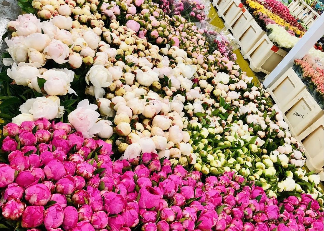 Flowers on a trolley at the Aalsmeer auction